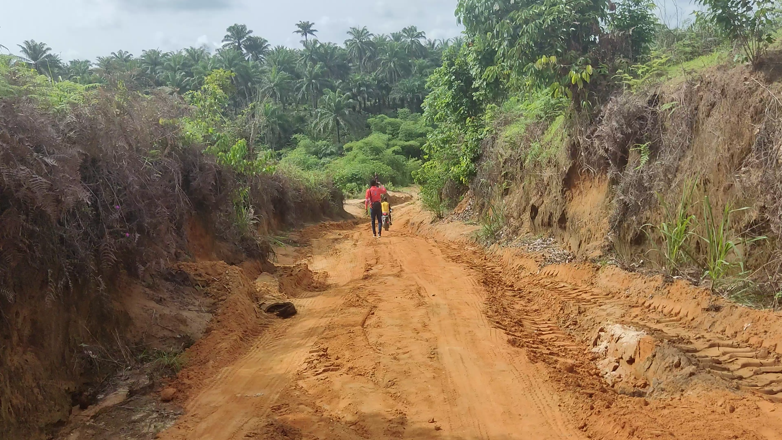 Pathway to the Ikot Akpaoso Pond