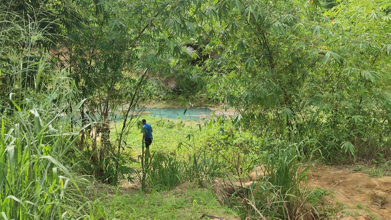 Pond entrance