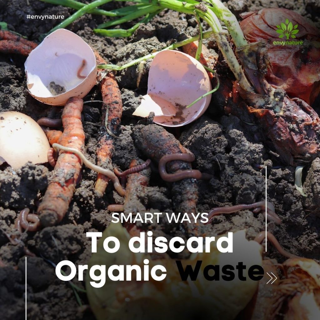 Four ways to use your organic waste