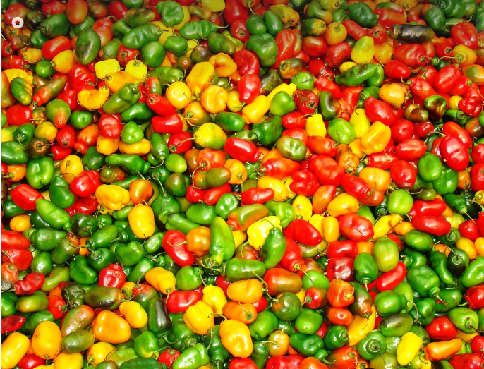 bell peppers