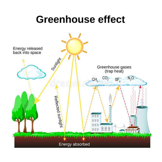 The greenhouse effect on the ecosystem