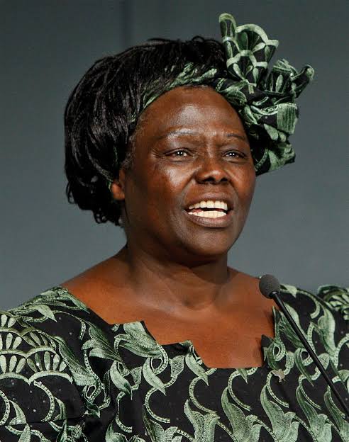 Wangari Maathai